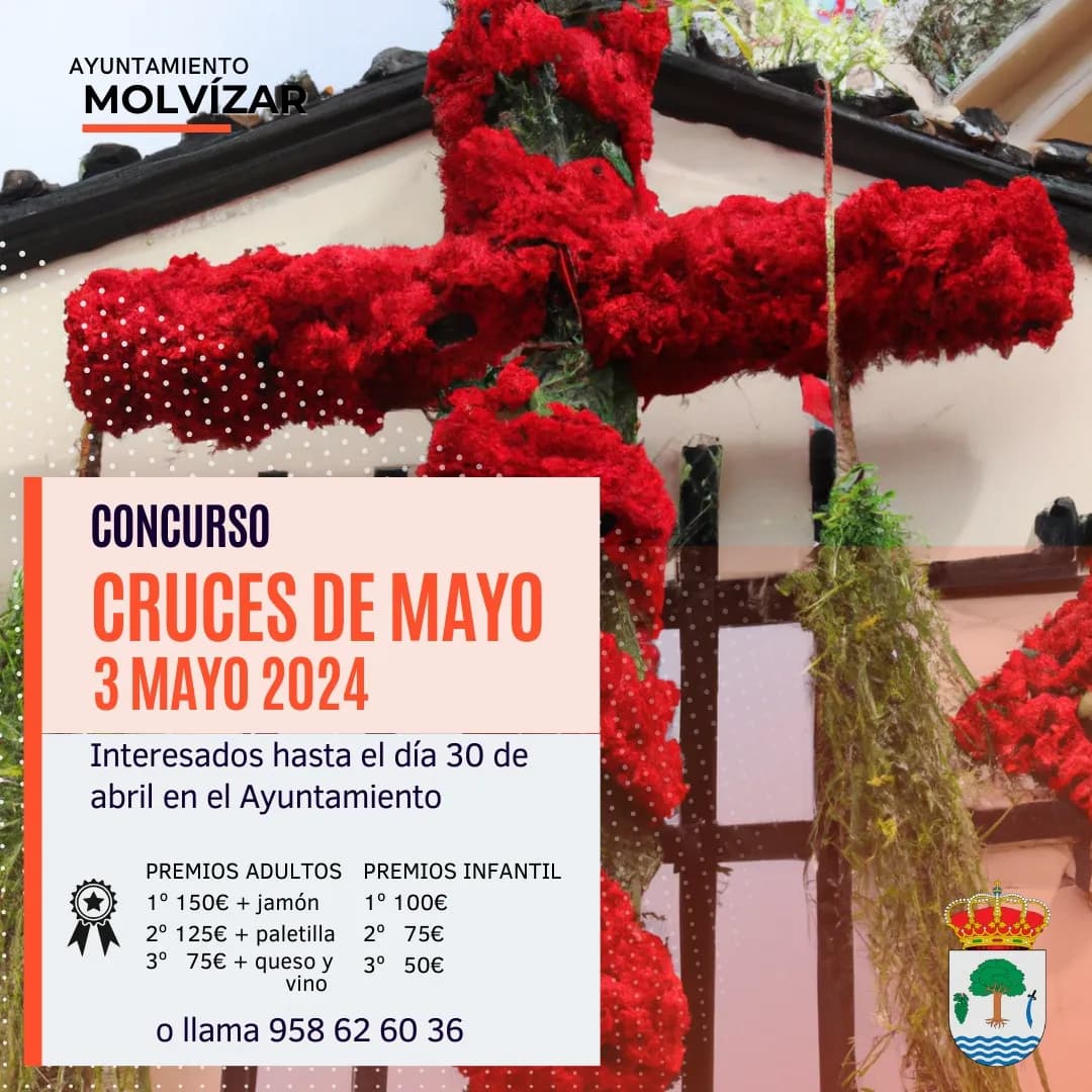 BASES DEL PROCEDIMIENTO CRUCES MAYO 2024