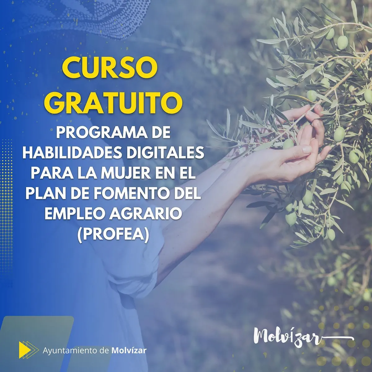 Curso Gratuito Programa de Habilidades Digitales para la Mujer en el Plan de Fomento del Empleo Agrario (PROFEA)