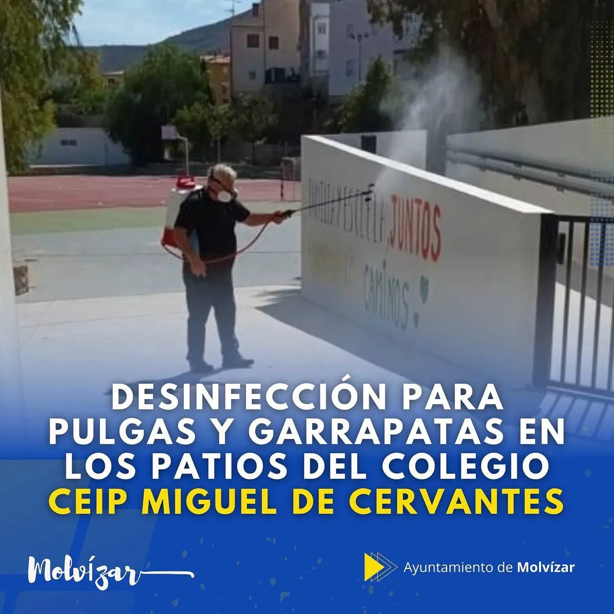 DESINFECCIÓN PARA PULGAS Y GARRAPATAS