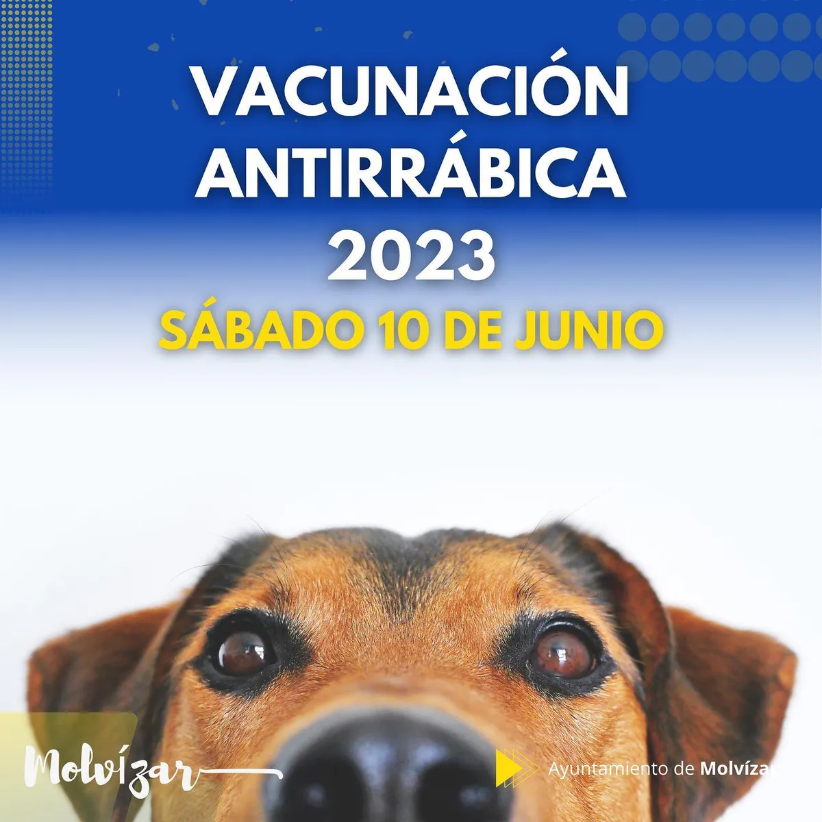 VACUNACIÓN ANTIRRÁBICA 2023